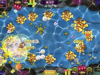 诚信星力十代海王